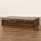 Baxton Studio Cormac Transitional Walnut Brown Finished Wood and Gold Metal 2-Drawer Coffee Table 208-12136 - alternate 10